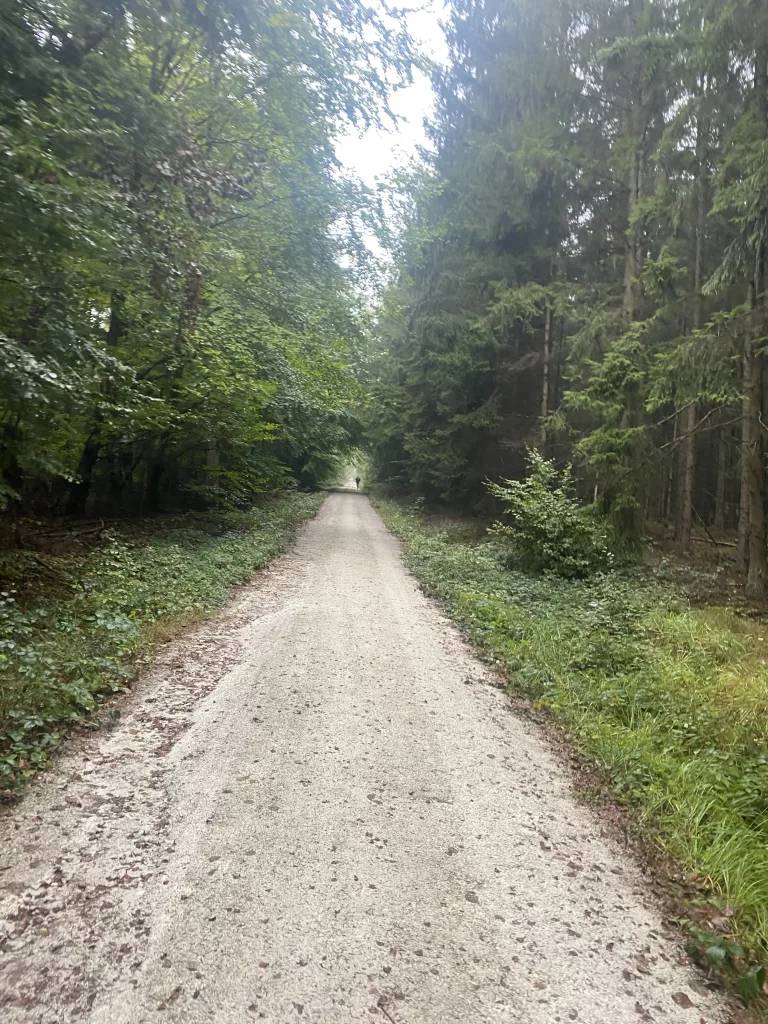 The long road back: a running recovery success story