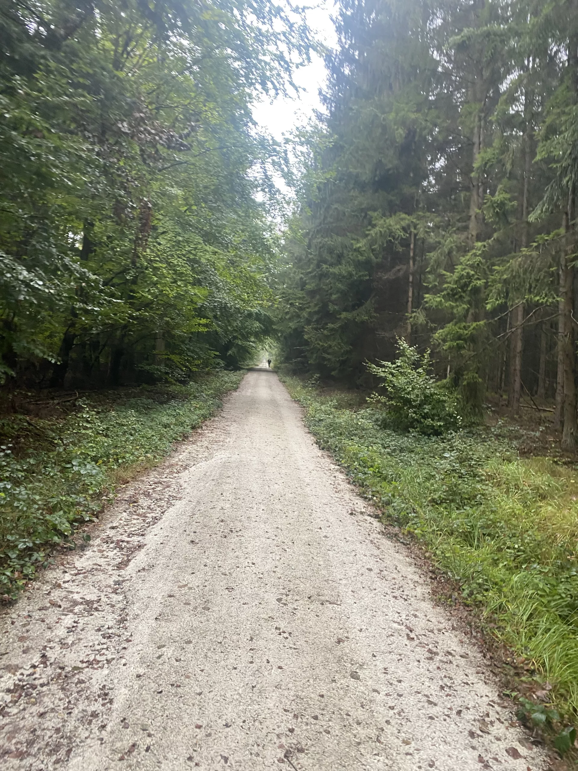 Running Recovery Success Story: Runner Julia