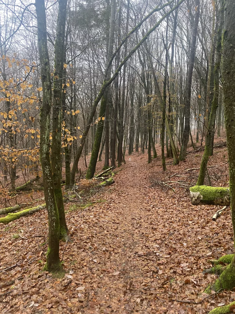 7:30 hour training week x2