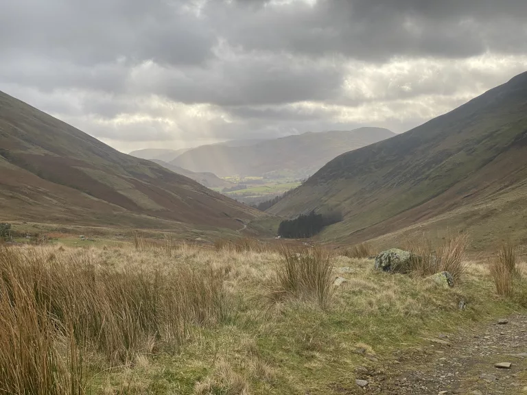 Mastering consistency: The art of sticking with a consistent training routine through life’s ups and downs