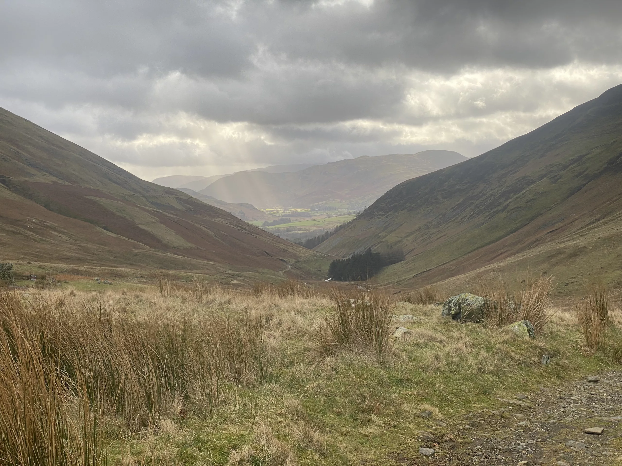 Mastering consistency: The art of sticking with a consistent training routine through life’s ups and downs