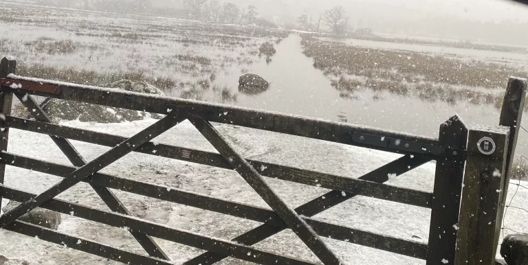 Ultra marathon training: navigating the challenges of the Long Run