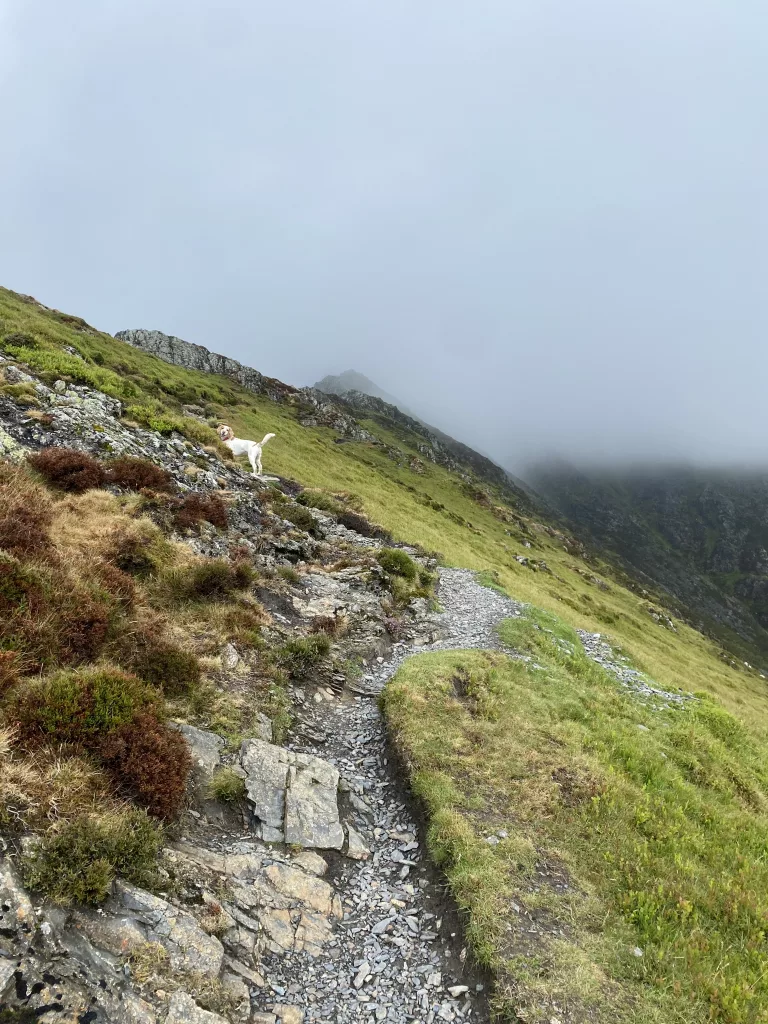 How bad do you want it? Training while injured