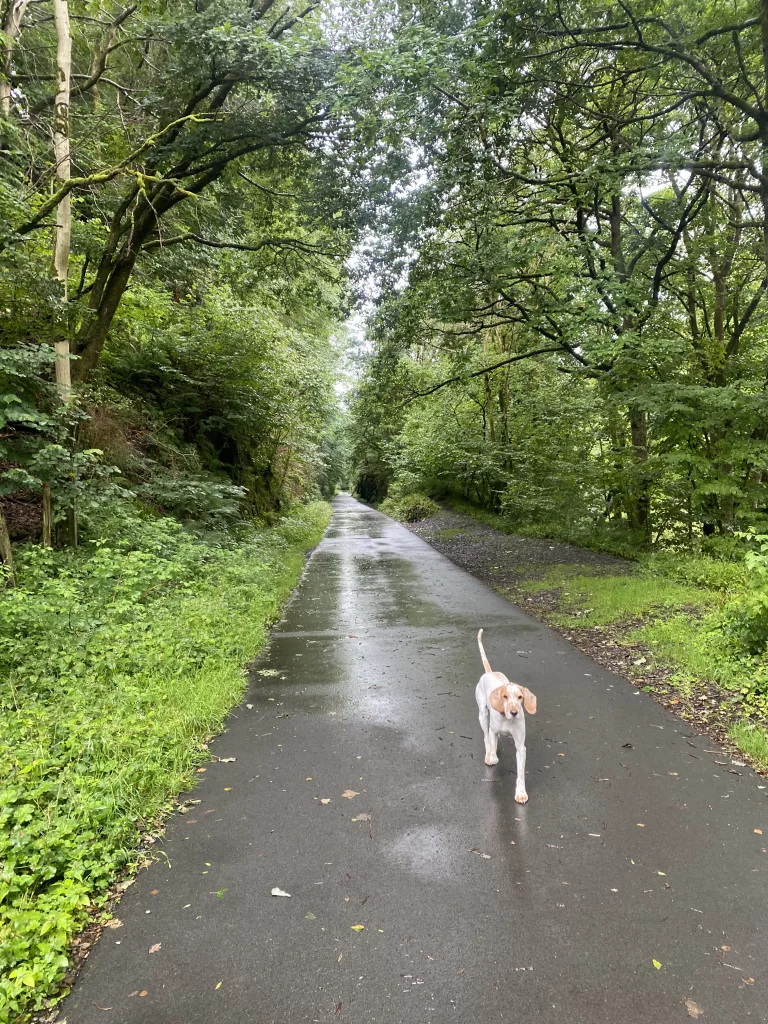 Rainy day running gear – my choices of apparel 