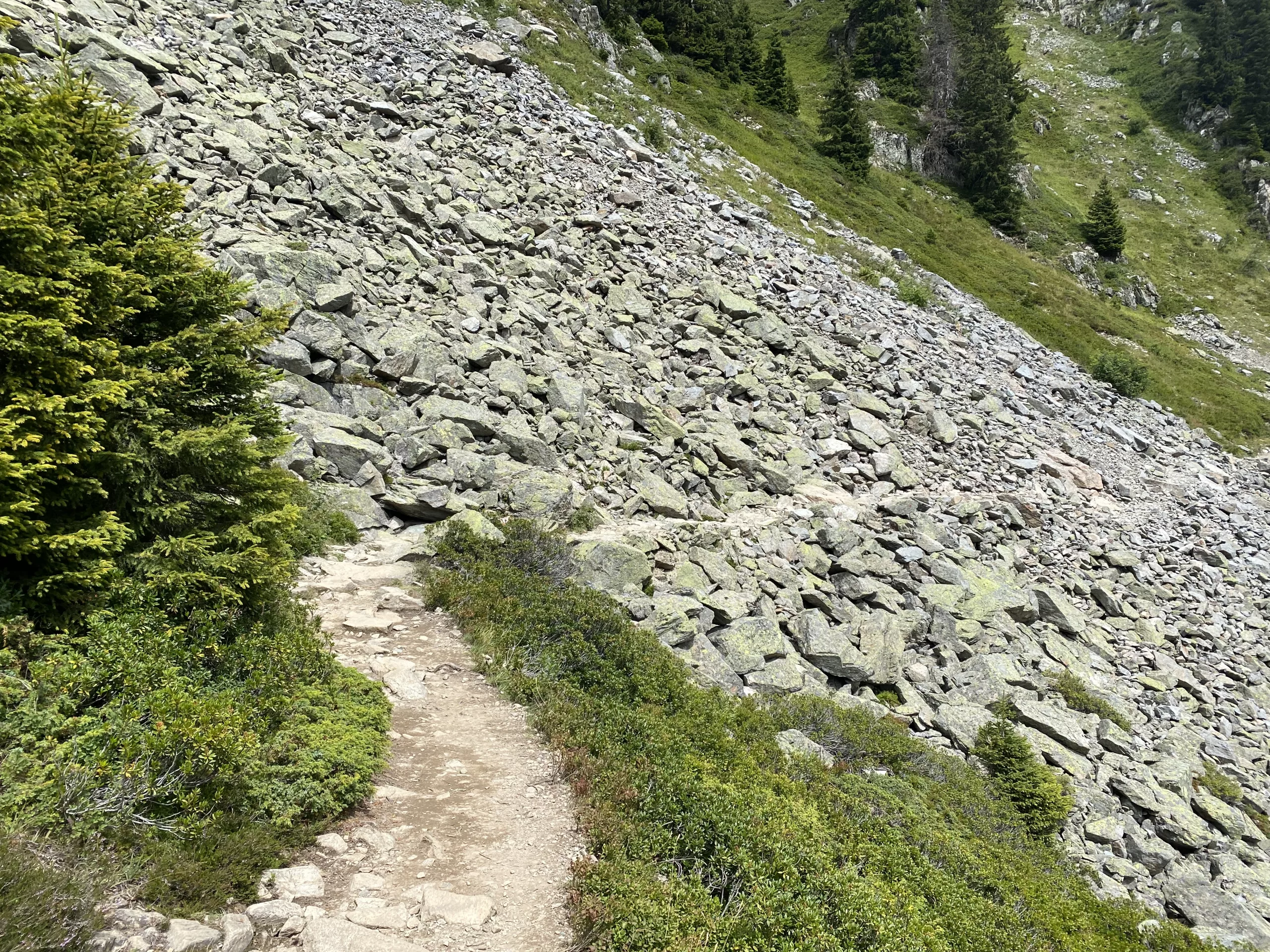 Could my training start to be paying off?